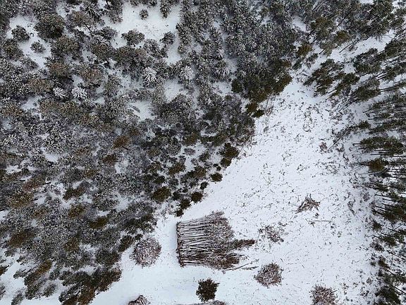 5th image of LOT 193 Deer Mountain Rd