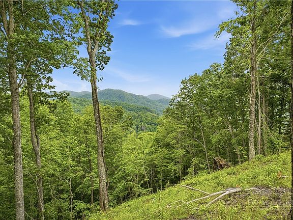 5th image of Lot 191 Raspberry Lane
