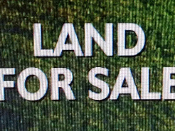 4 County Road 8, Waterloo, AL 35677