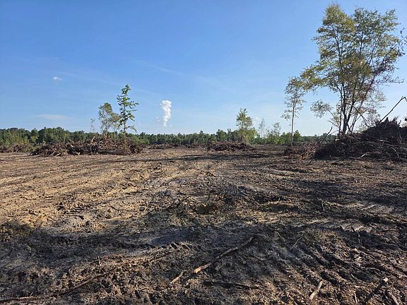 5th image of 2850 Gause Rd. #2850 Gause Road - Tract 1