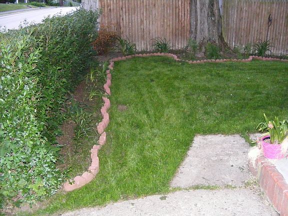 side/front yard
