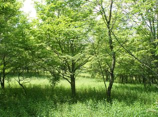 Brownstown Rd, Renick, WV 24966