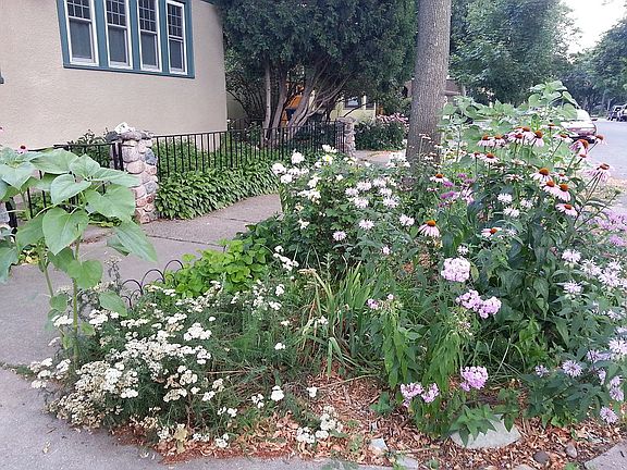Springtime garden-1 