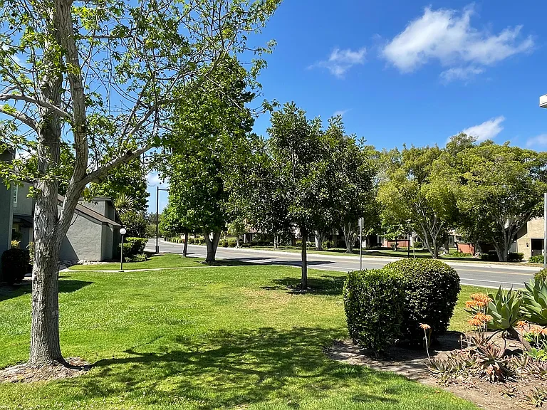5073 La Cuenta Dr — Photo 22