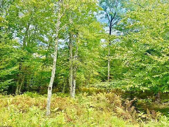 4th image of LOT 9 Chickadee Dr