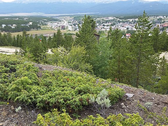 5th image of 360 Alder