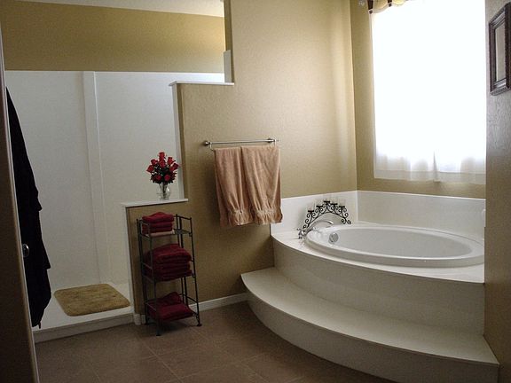 snail walk in shower and large tub
