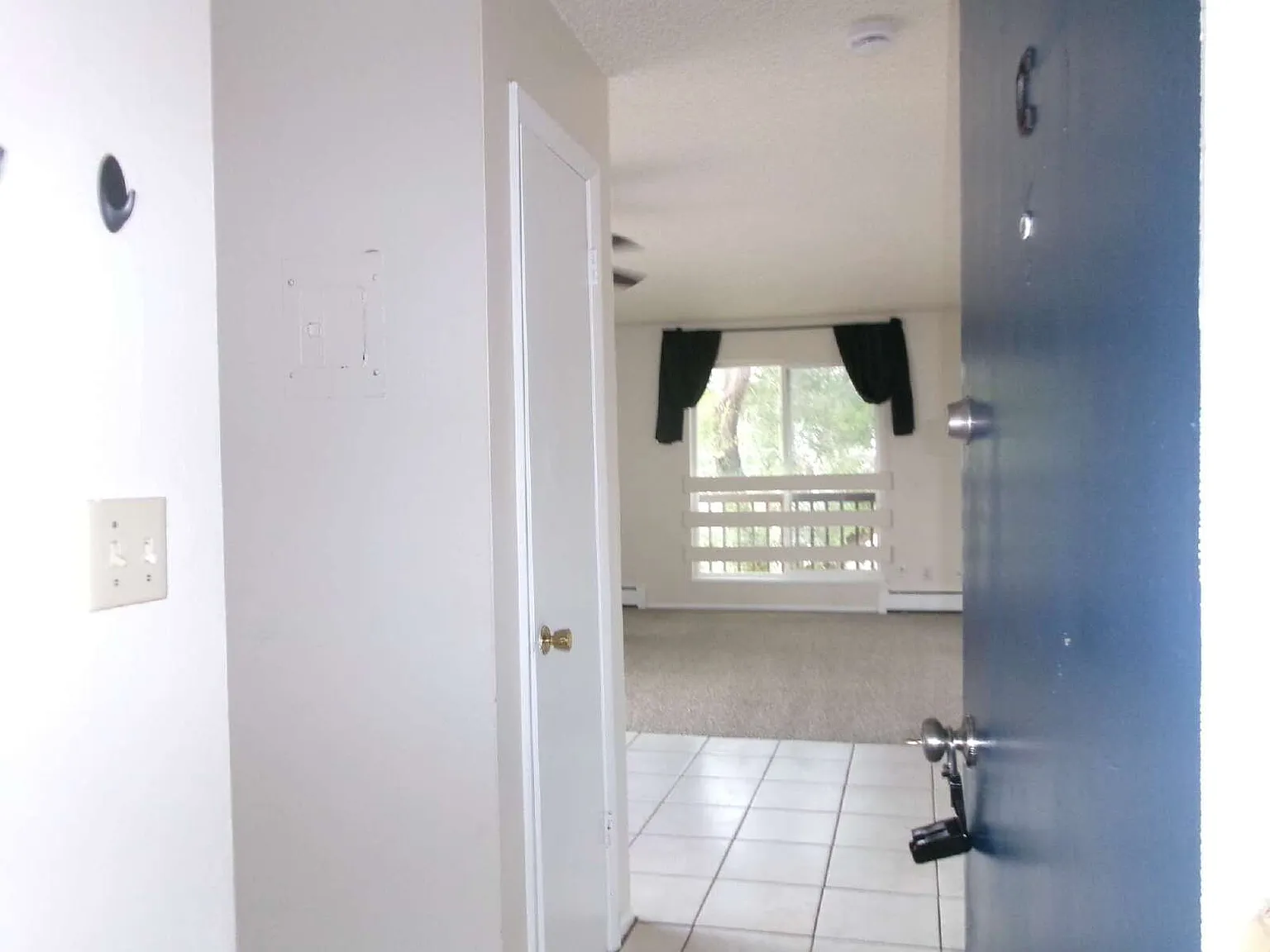 2 bed, 1.0 bath, 800 sqft, $1,245 — Photo 3