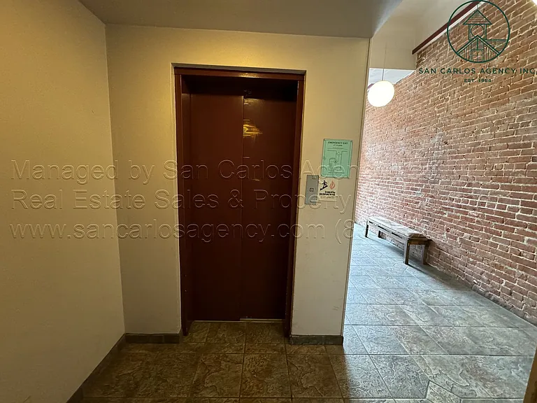 SINGD — Photo 5
