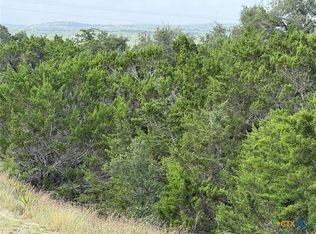 155 Lipizzan Ln, Spring Branch, TX 78070