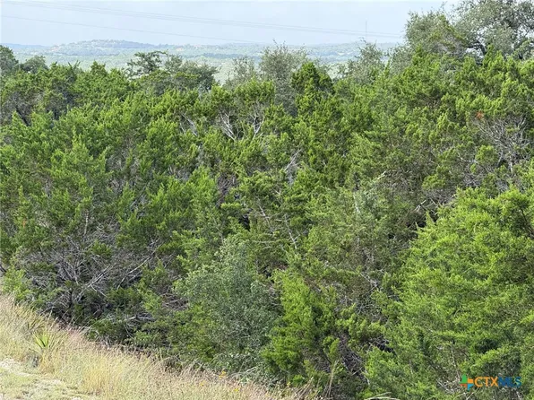 155 Lipizzan Ln, Spring Branch, TX 78070