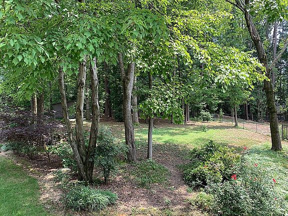 View from back porch