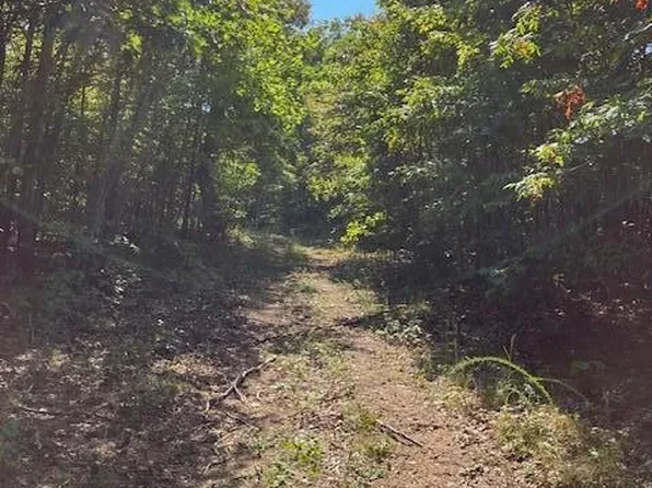 15 Church Rd, Annapolis, MO 63620