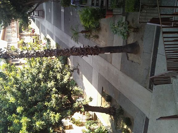 2nd image of 403 Figueroa Dr APT 36