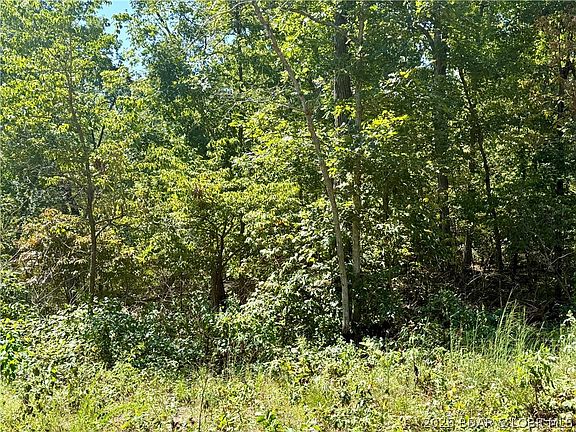 5th image of Possum Trot Rd