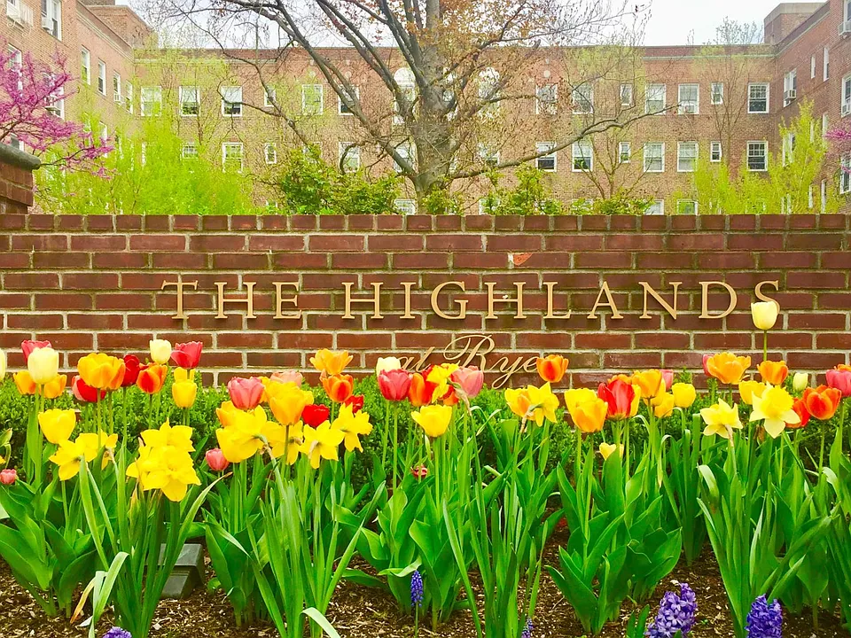 The Highlands Rye