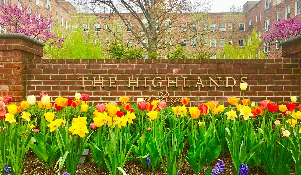 Building Photo - The Highlands Rye