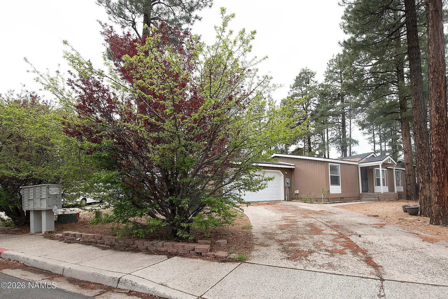 3 bed, 1519 sqft, $900 — Photo 2