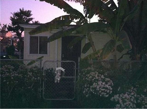 1st image of 1625 Elm Ave