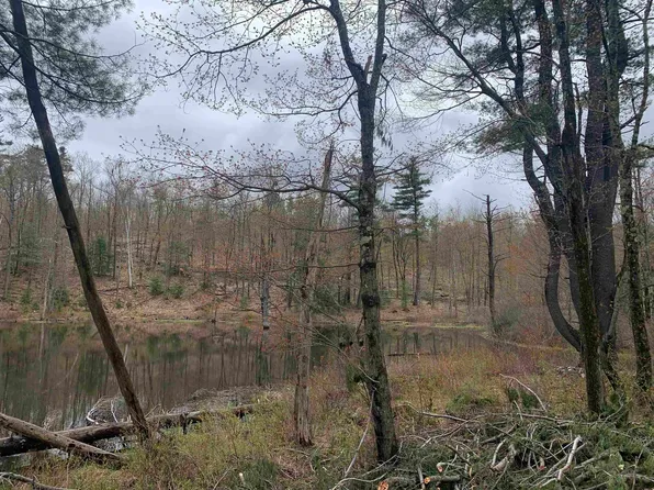 Map 52 Lot 2B Pratt Road, Alstead, NH 03602