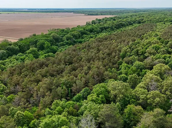 0 Ashley Rd Lot 196-2, Hamburg, AR 71646