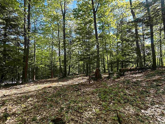 2nd image of McClure Dam Rd