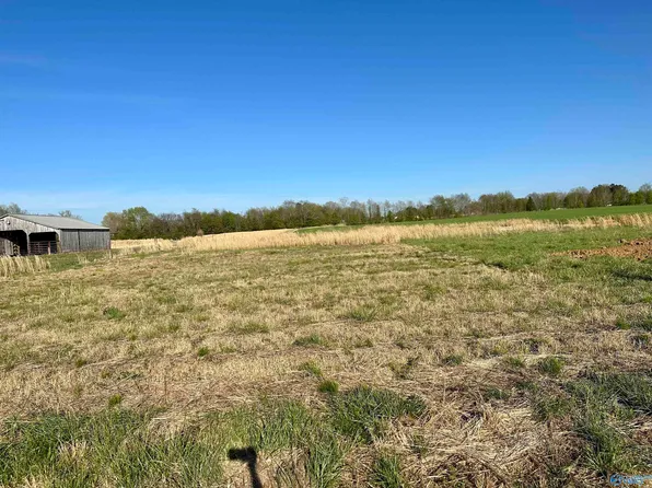 20 Tillman Mill Rd, Elkmont, AL 35620