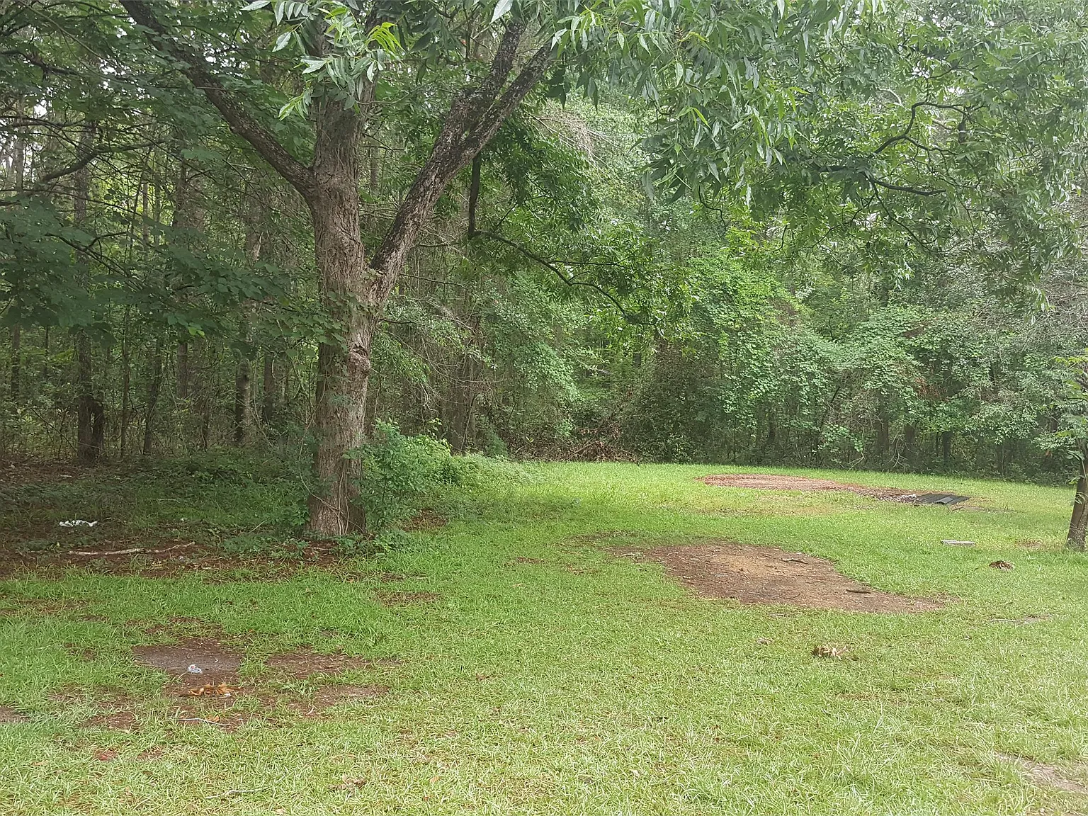 1207 Hampton Road Orangeburg, SC 29115 - 1 — Photo 4