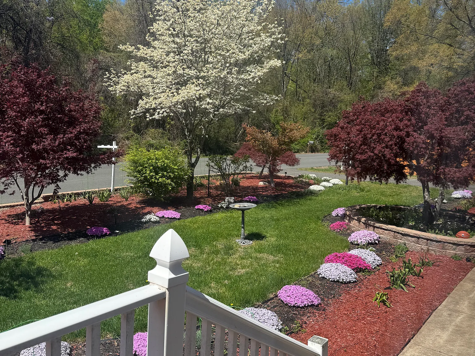 1 bed, 1.5 bath, $1,000 — Photo 4
