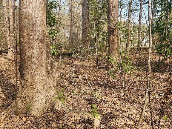 4th image of Lot 27 Peed Road