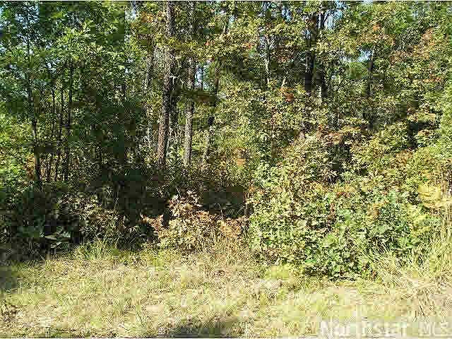 1st image of 0 Bald Eagle Drive