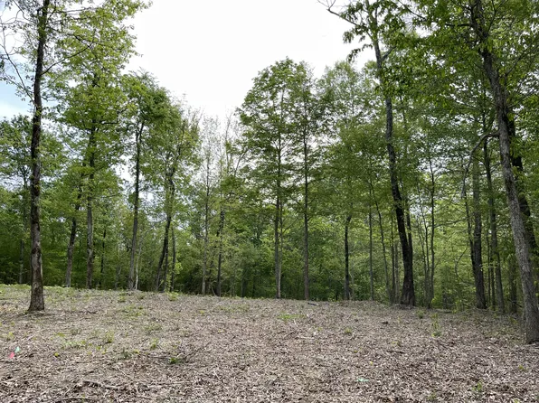 0 Primm Ridge Rd Lot 2, Primm Springs, TN 38476