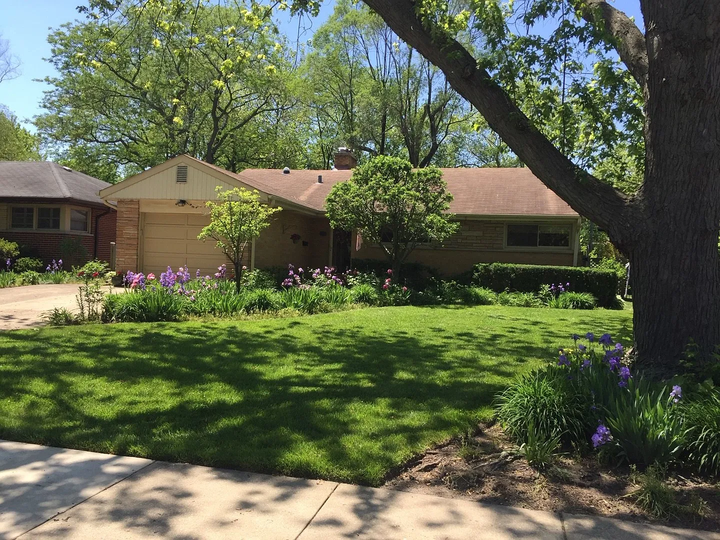 1032 Oxford Rd photo 1
