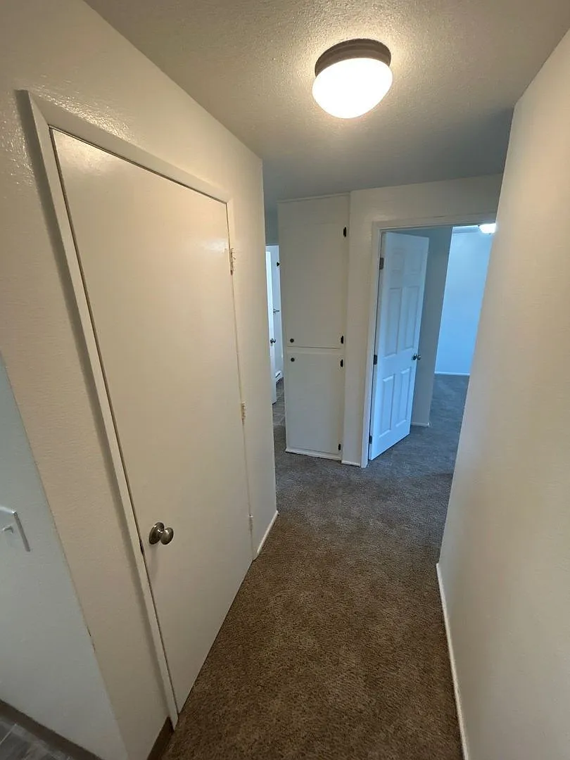 2 bed, 1.0 bath, 868 sqft, $1,195 — Photo 3