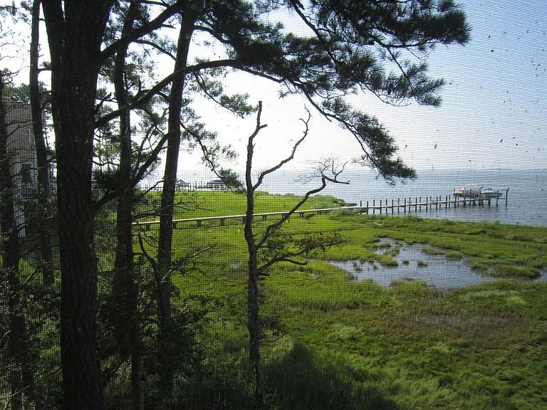 Panoramic View (#1) from Rear Porch