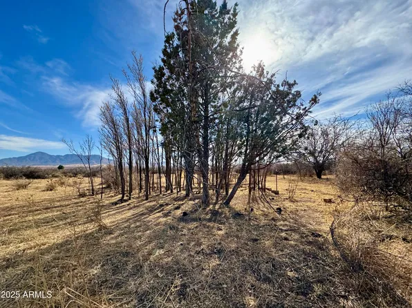 TBD 5-ACRE W WILLYS RUN -- #C, Bisbee, AZ 85603