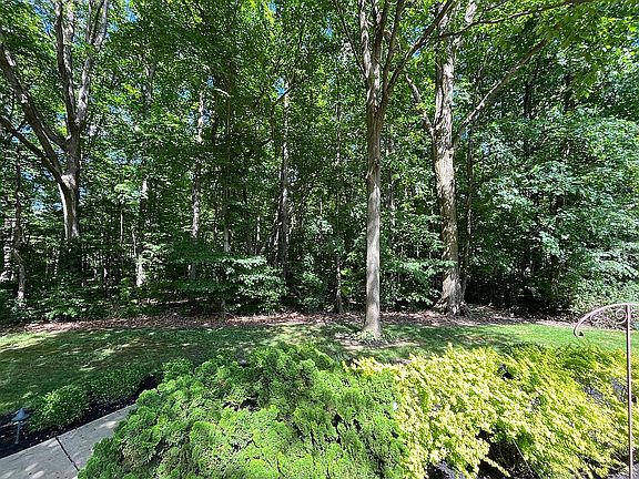 View of woods from deck