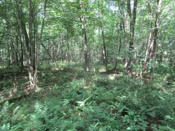 0 Amsler Rd, Knox, PA 16232