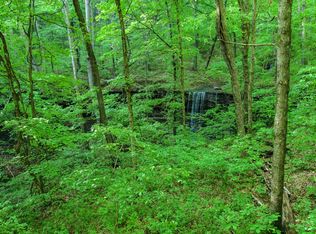 1 Chimney Field Rd, Winslow, AR 72959