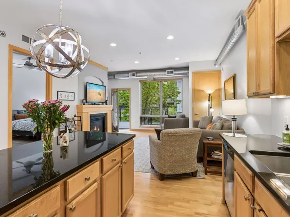 240 Spring St Unit 203, Saint Paul, MN 55101