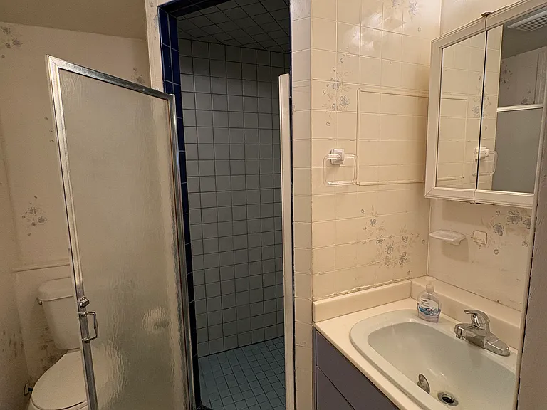 bathroom #2 in-law suit