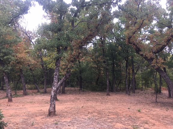 4th image of 788 County Road 3451