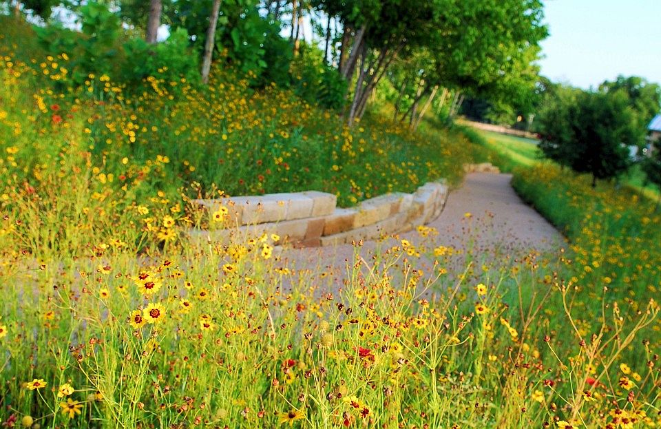 Mueller is an urban mixed-use community that has emerged as the result of the redevelopment of the former Robert Mueller Municipal Airport. Around the perimeter of the community, greenways connect parks and ponds with 7 miles of trails.