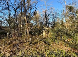 307 Magnolia Bnd, New Caney, TX 77357