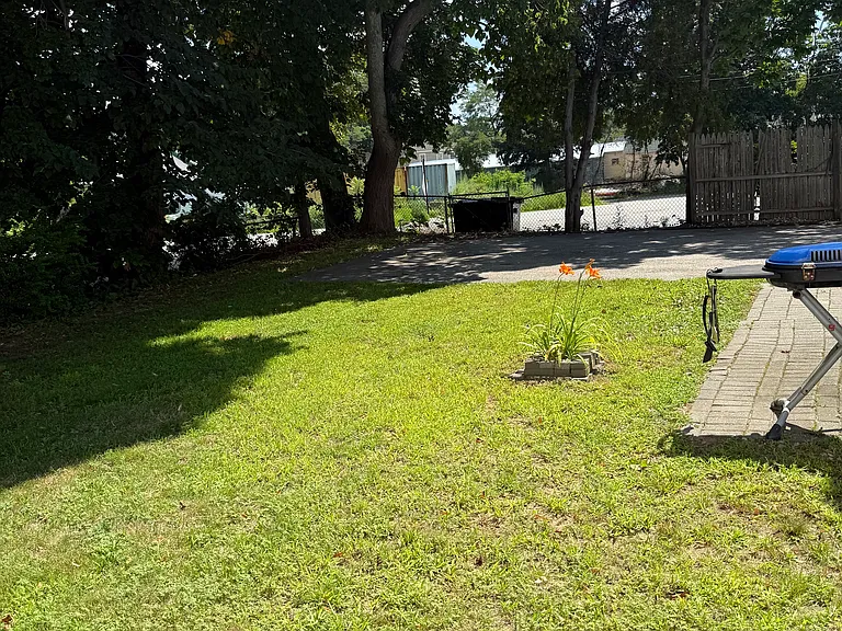 Back yard