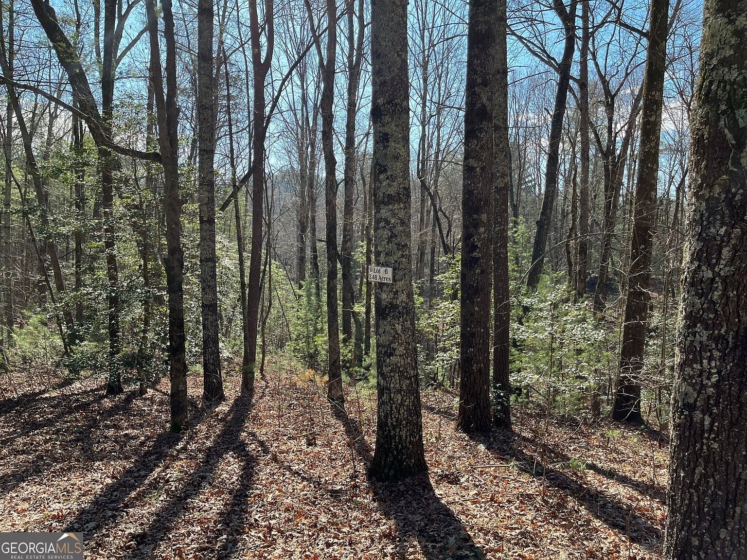 LOT 6 Pickett Mill Ln, Ellijay, GA 30540 | MLS #10139564 | Zillow