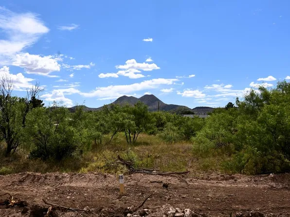 411 Sagebrush Rd, Alpine, TX 79830