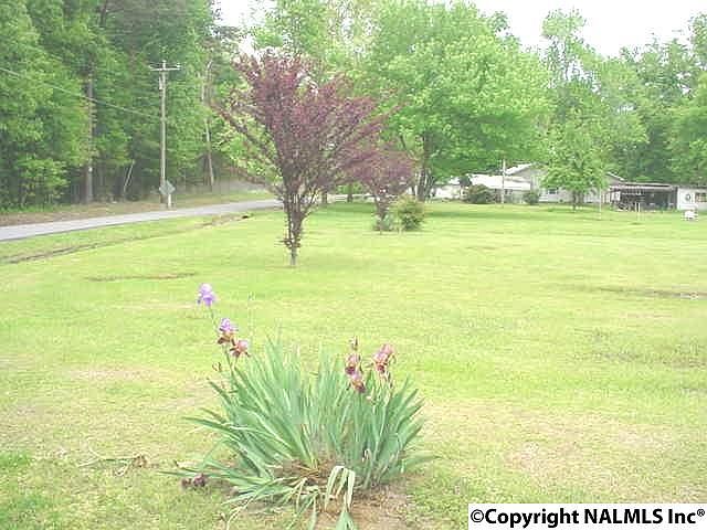 1st image of 824 Burroughs Dr
