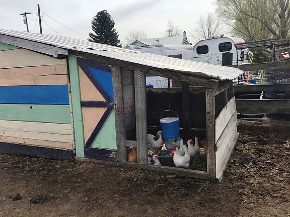 Chicken Coop