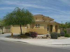 The front yard